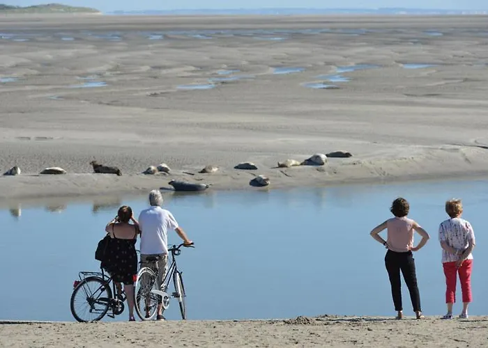 Appartement Paddle - Vue - 100m